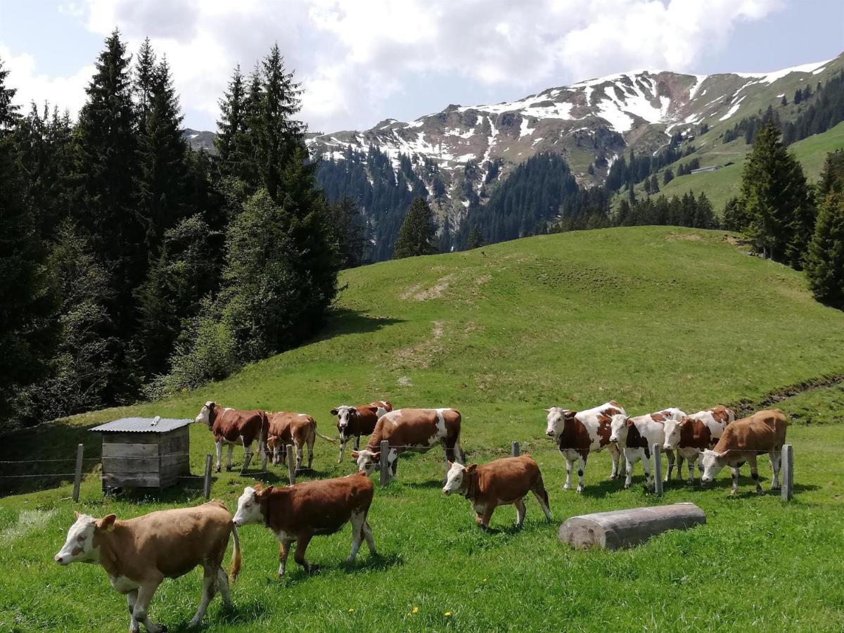 Bauernhof Bichlhof Daire Söll Dış mekan fotoğraf